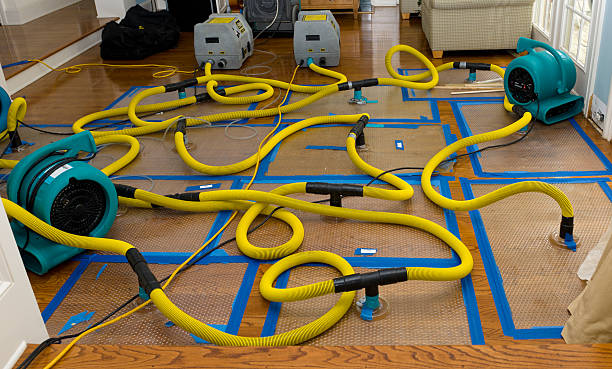 Professional Basement Flood Cleanup technician working in Sturgeon, MO